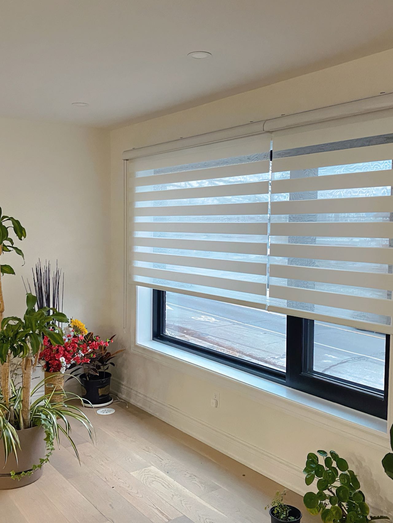 Light-coloured zebra blinds in a bright room with plants
