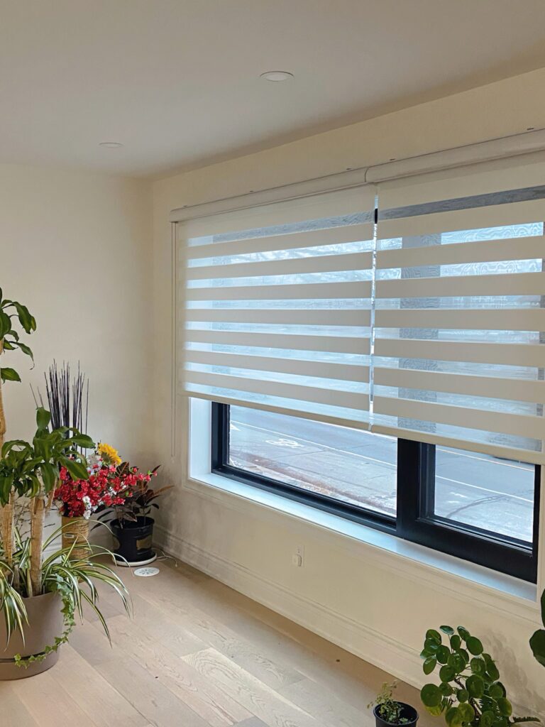 light filtering zebra blinds by Sunny Shutter INC.